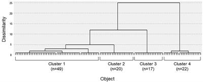 Subtypes of Persistent Postural-Perceptual Dizziness